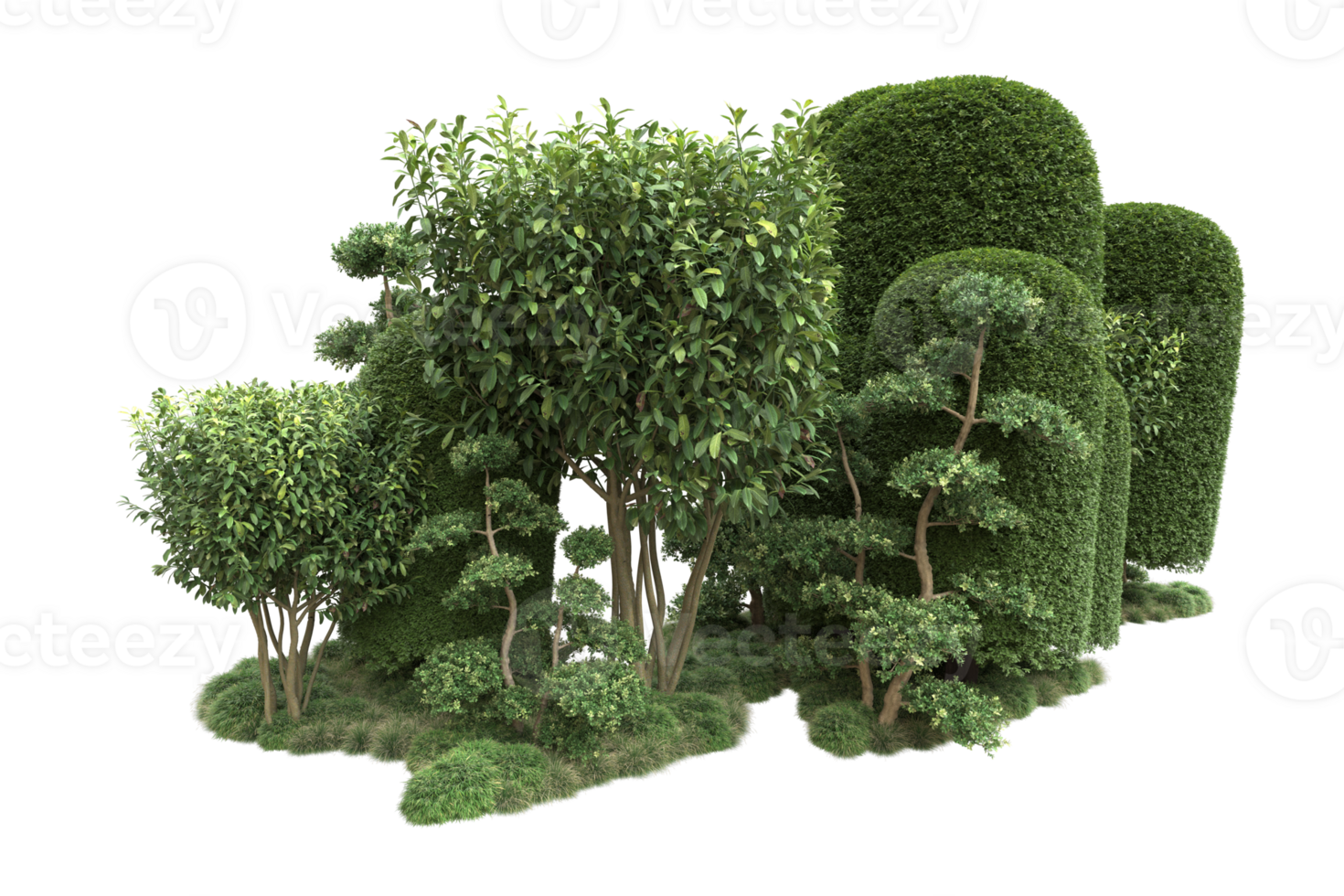 Realistic forest isolated on transparent background. 3d rendering - illustration png