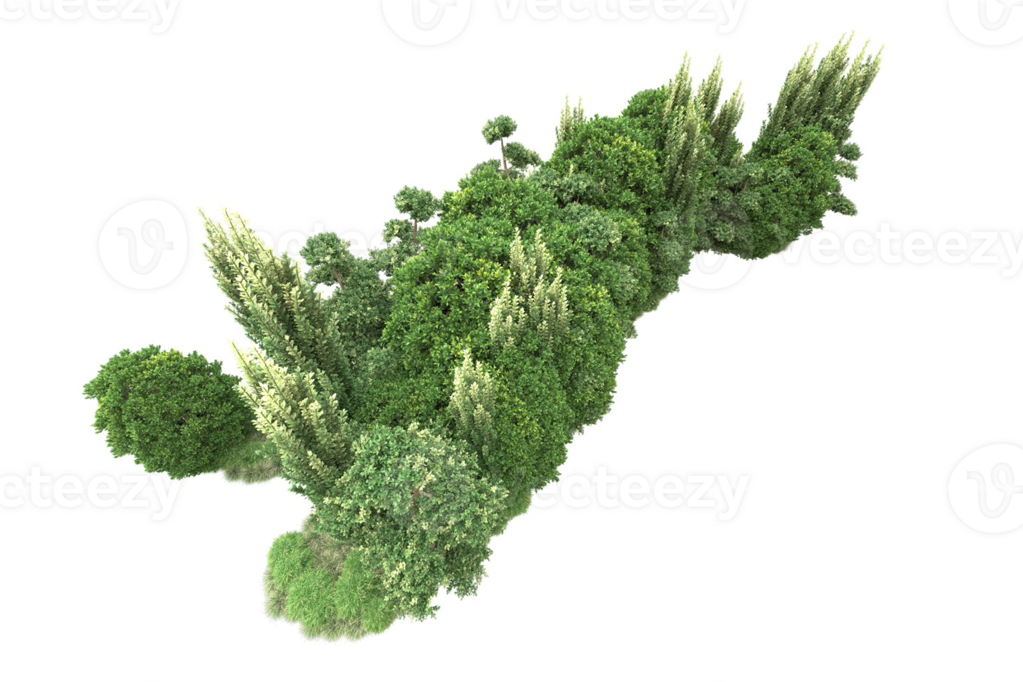 Realistic forest isolated on transparent background. 3d rendering - illustration png