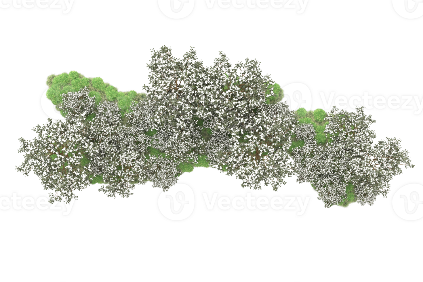 Realistic forest isolated on transparent background. 3d rendering - illustration png