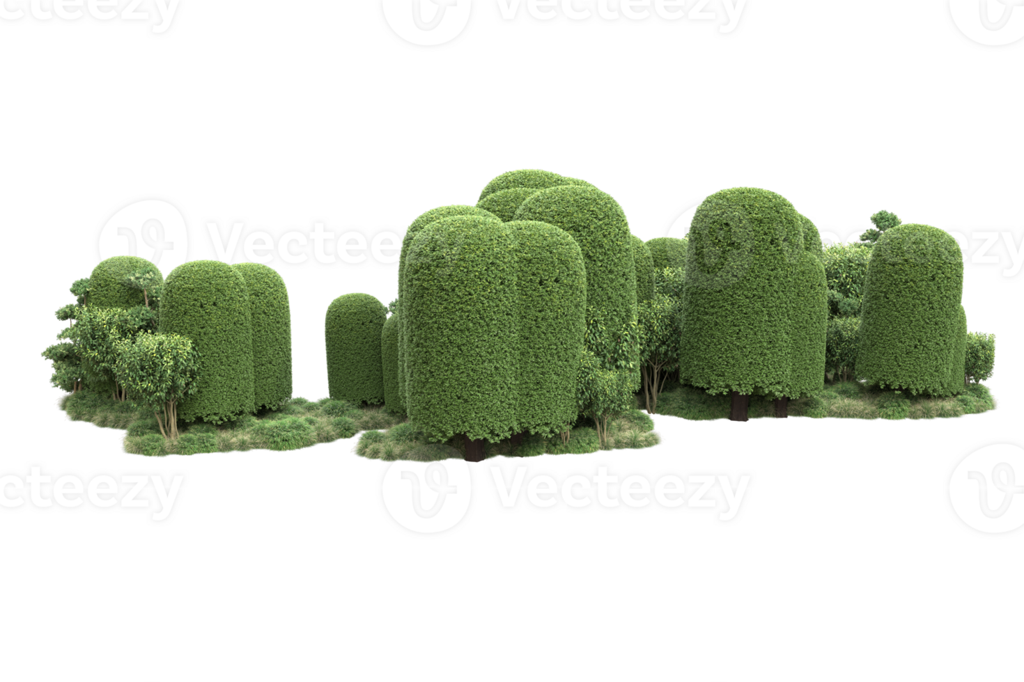 Realistic forest isolated on transparent background. 3d rendering - illustration png