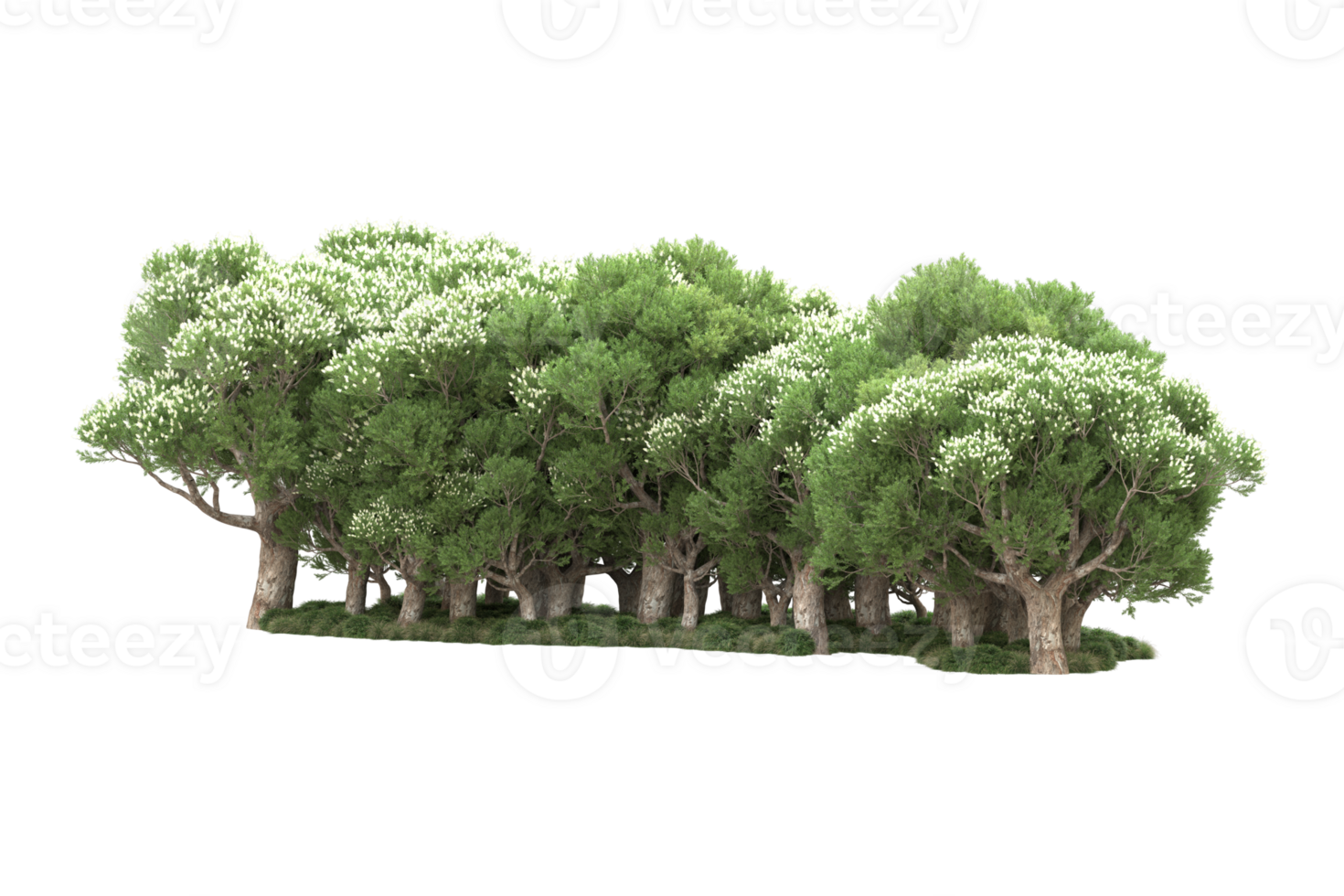 Realistic forest isolated on transparent background. 3d rendering - illustration png