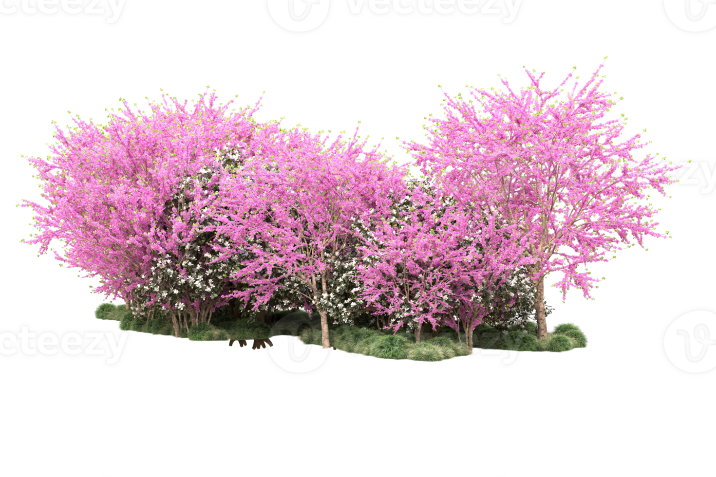 Realistic forest isolated on transparent background. 3d rendering - illustration png
