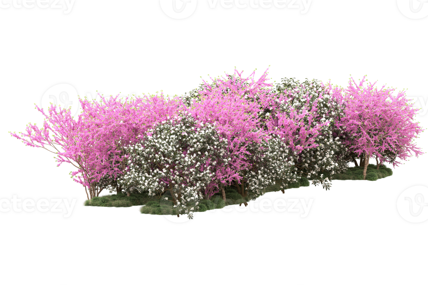 Realistic forest isolated on transparent background. 3d rendering - illustration png