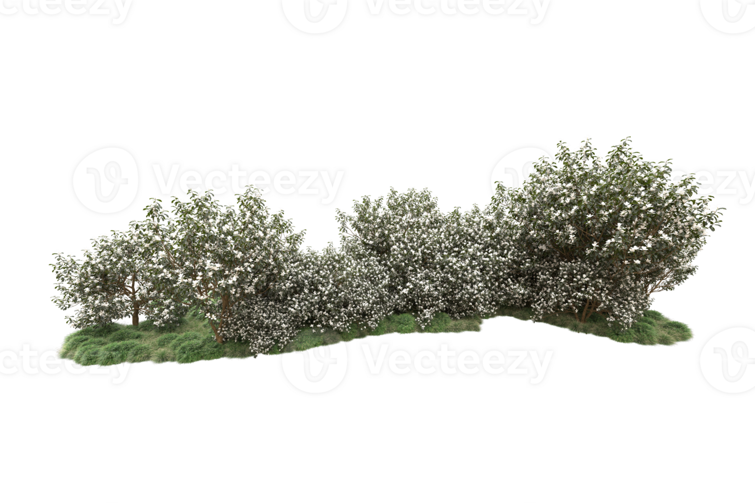 Realistic forest isolated on transparent background. 3d rendering - illustration png