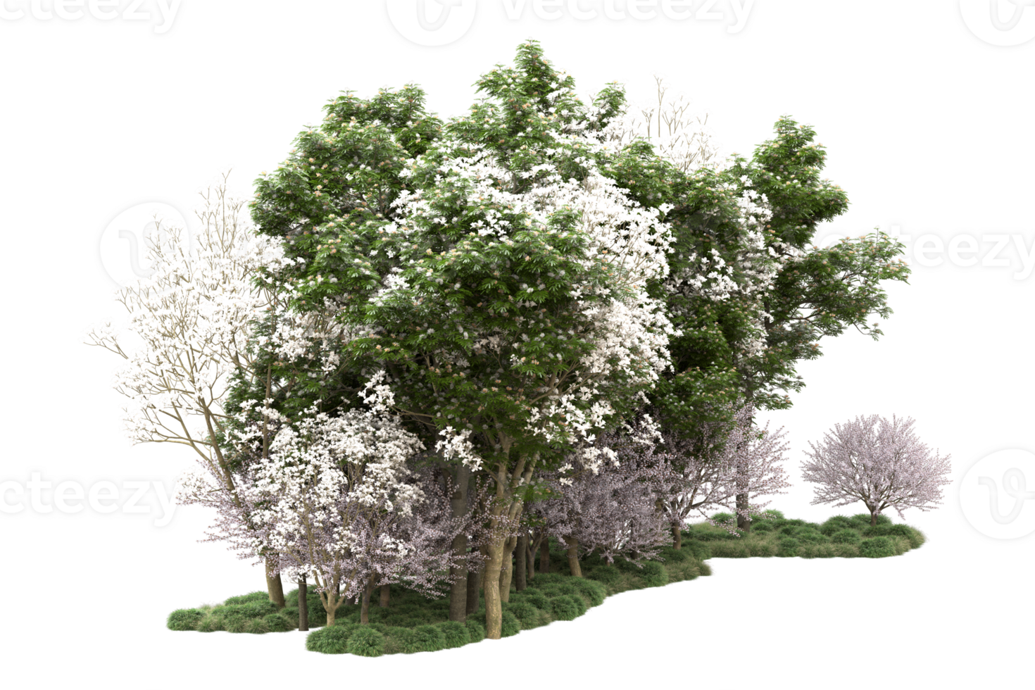 Realistic forest isolated on transparent background. 3d rendering - illustration png