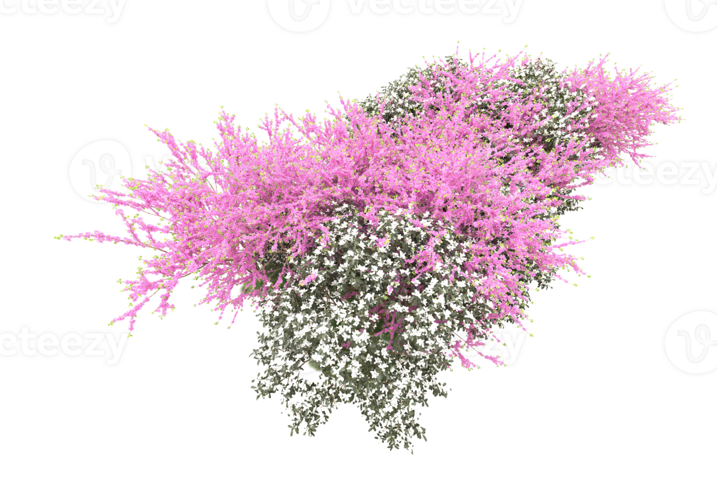 Realistic forest isolated on transparent background. 3d rendering - illustration png