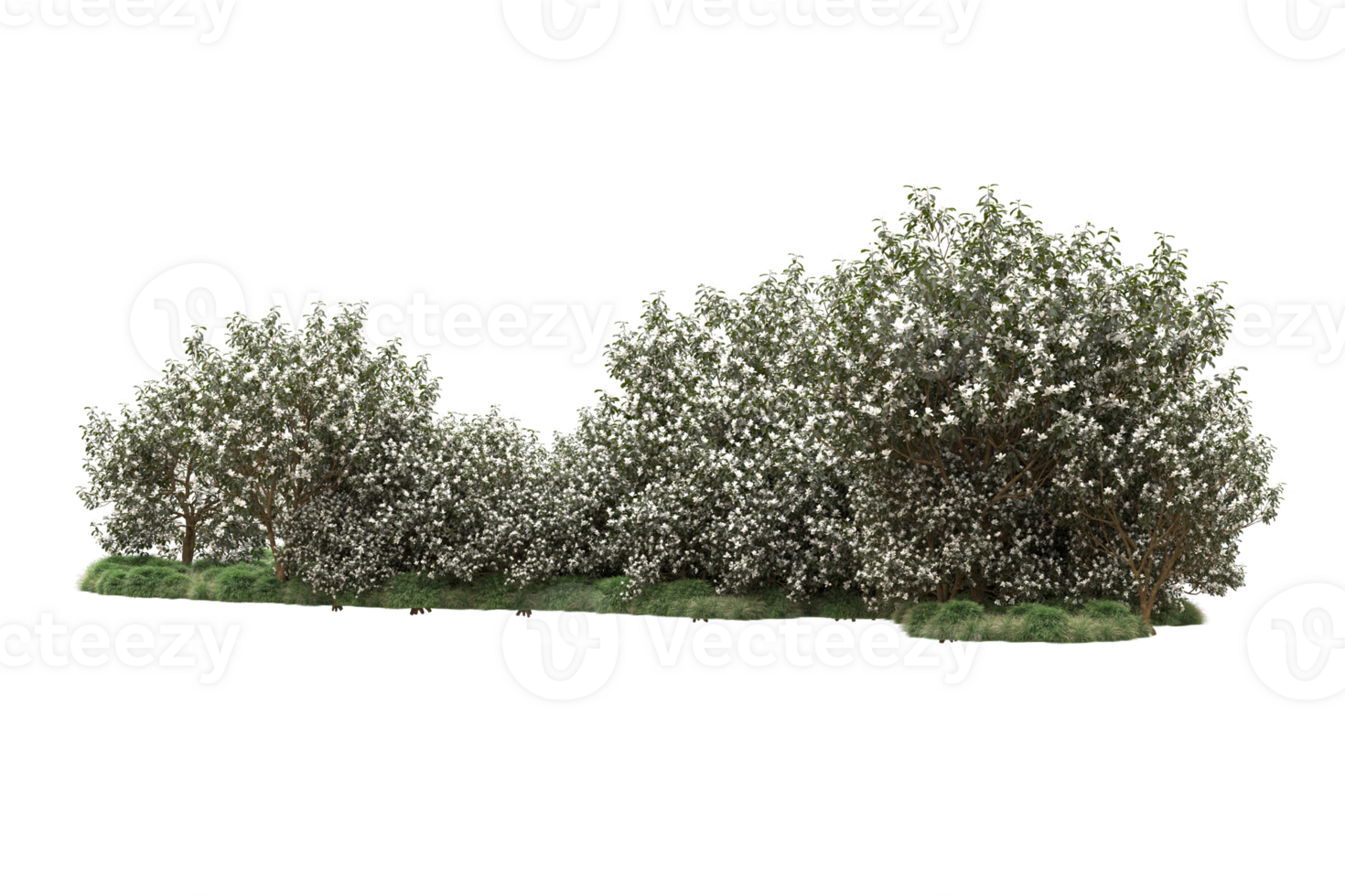 Realistic forest isolated on transparent background. 3d rendering - illustration png