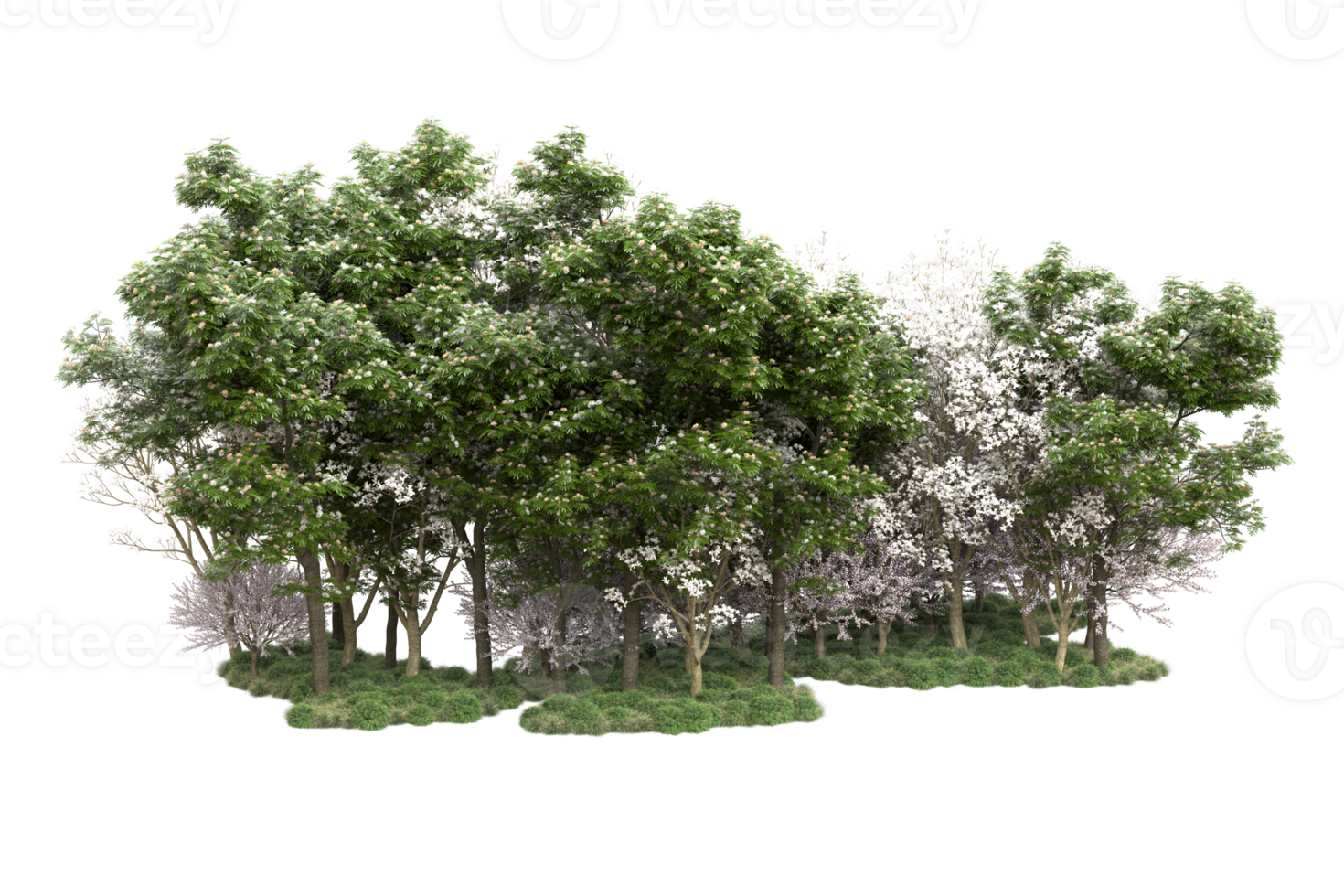 Realistic forest isolated on transparent background. 3d rendering - illustration png