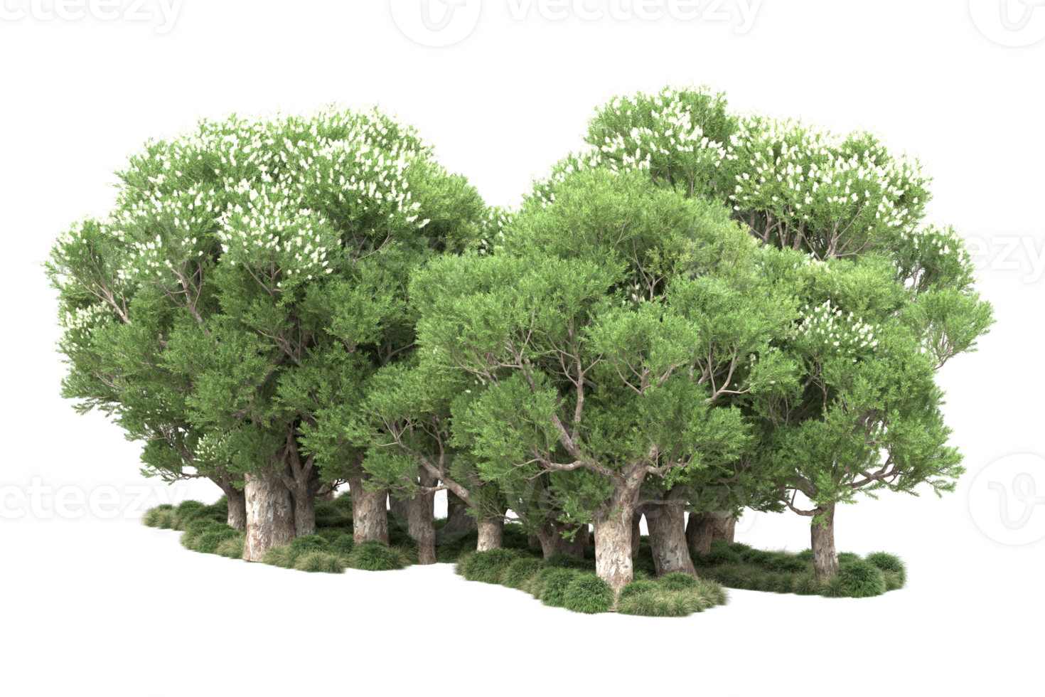 Realistic forest isolated on transparent background. 3d rendering - illustration png