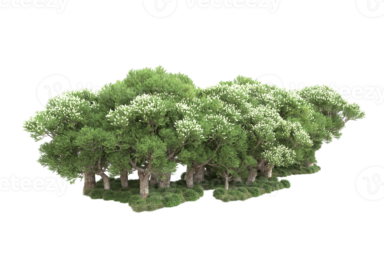 Realistic forest isolated on transparent background. 3d rendering - illustration png