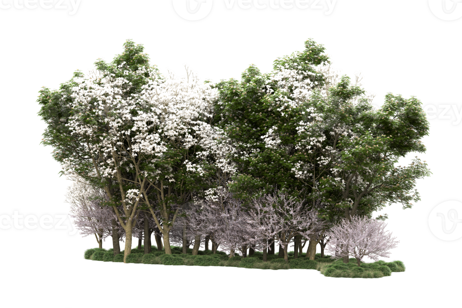 Realistic forest isolated on transparent background. 3d rendering - illustration png
