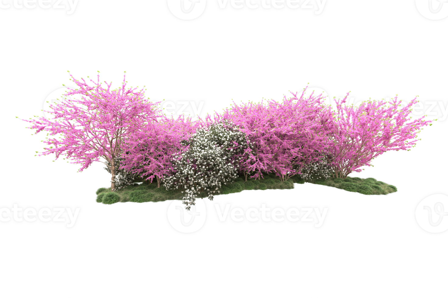 Realistic forest isolated on transparent background. 3d rendering - illustration png