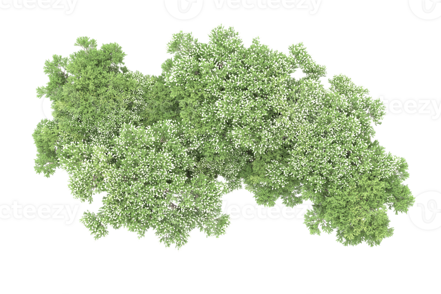 Realistic forest isolated on transparent background. 3d rendering - illustration png