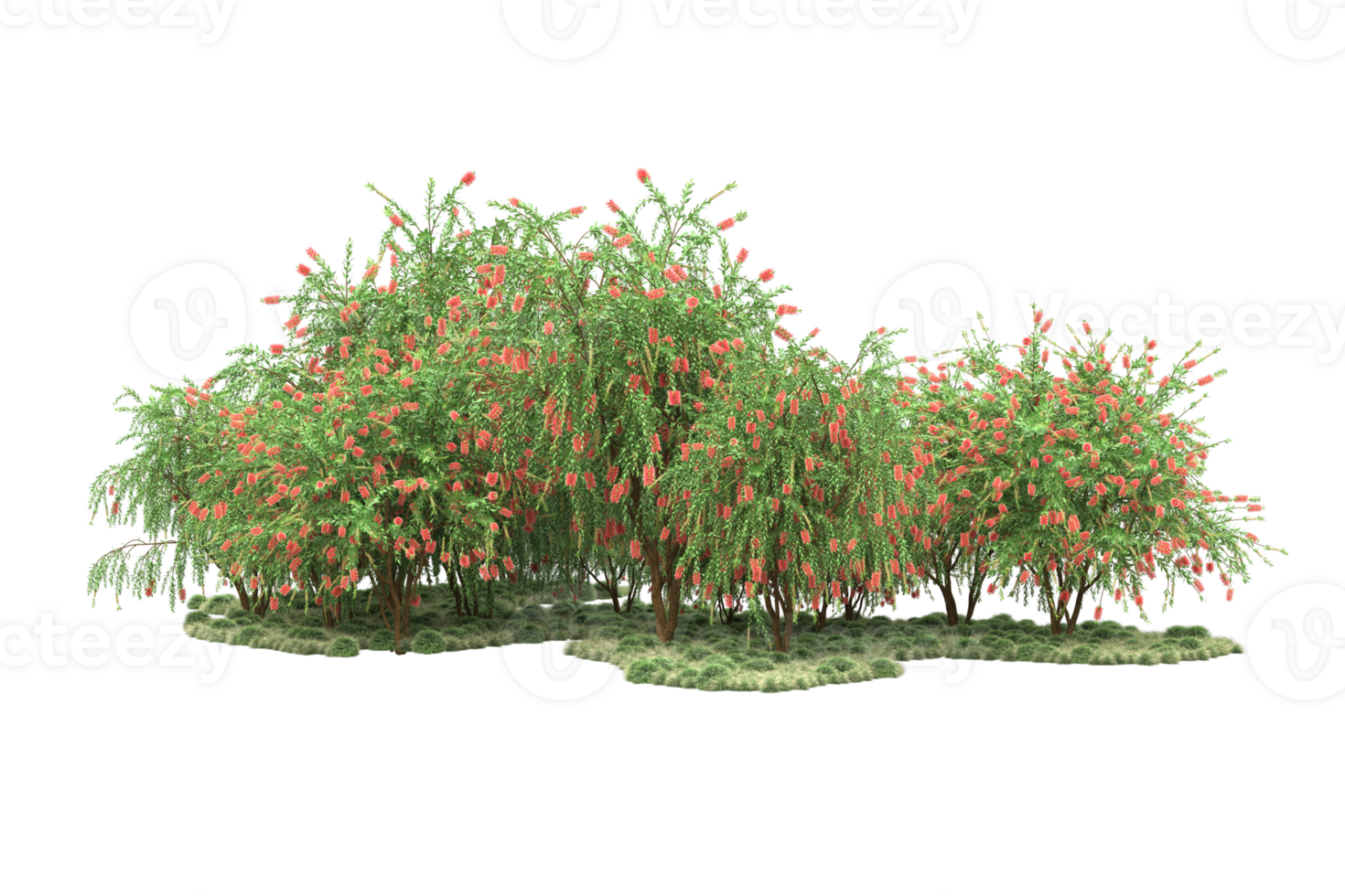Realistic forest isolated on transparent background. 3d rendering - illustration png