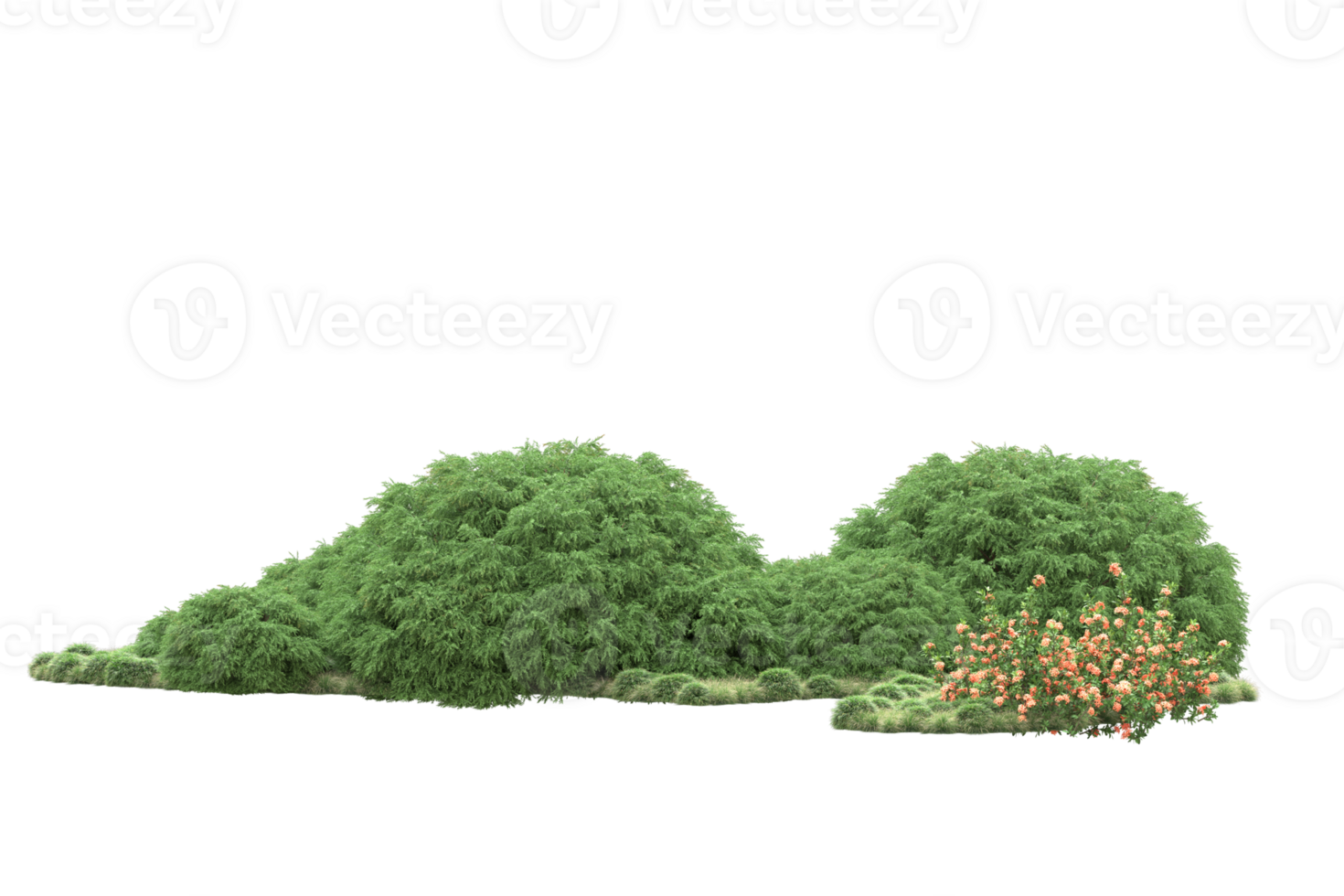 Realistic forest isolated on transparent background. 3d rendering - illustration png