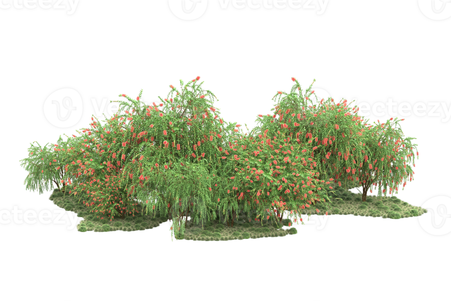 Realistic forest isolated on transparent background. 3d rendering - illustration png