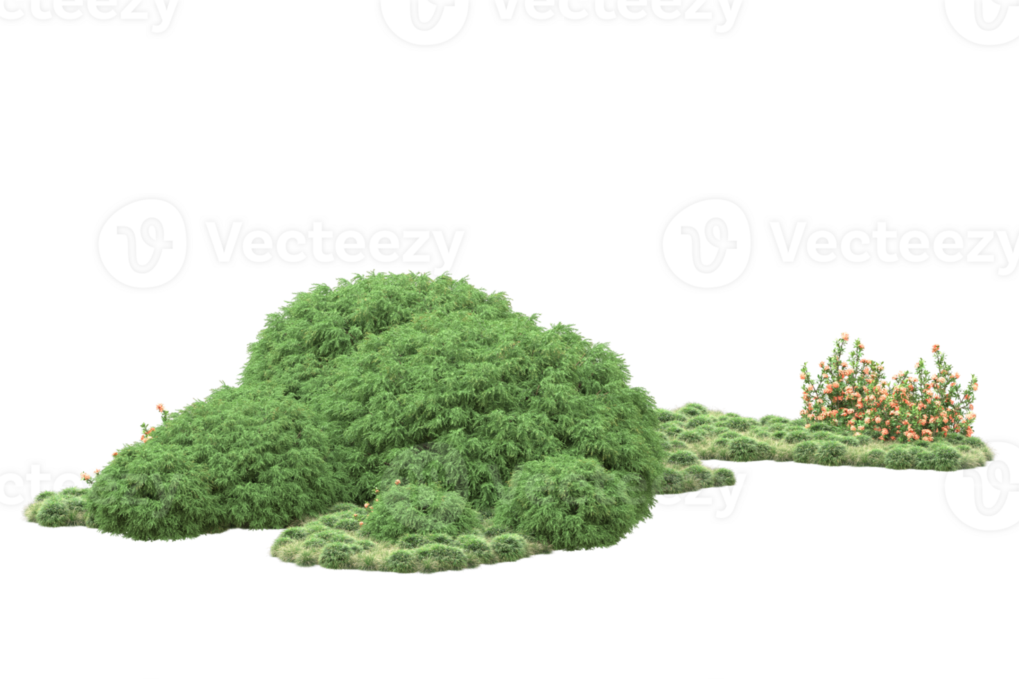 Realistic forest isolated on transparent background. 3d rendering - illustration png