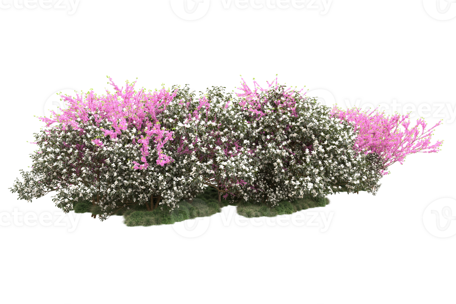 Realistic forest isolated on transparent background. 3d rendering - illustration png