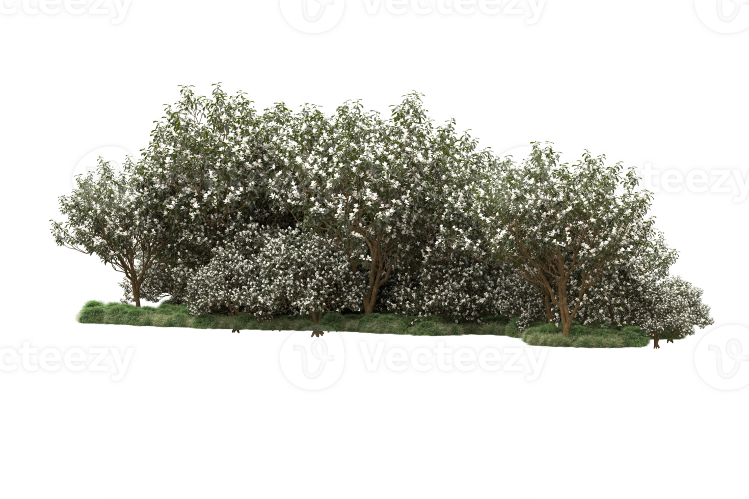 Realistic forest isolated on transparent background. 3d rendering - illustration png