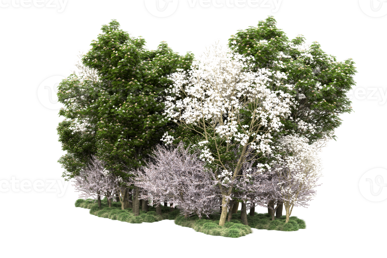 Realistic forest isolated on transparent background. 3d rendering - illustration png