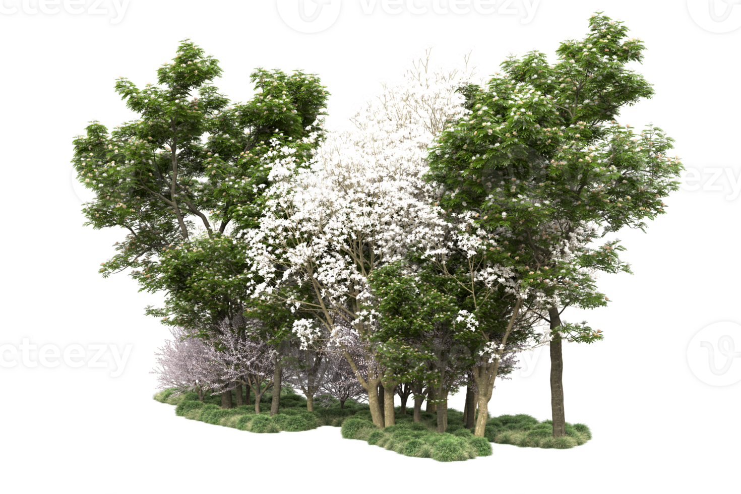 Realistic forest isolated on transparent background. 3d rendering - illustration png