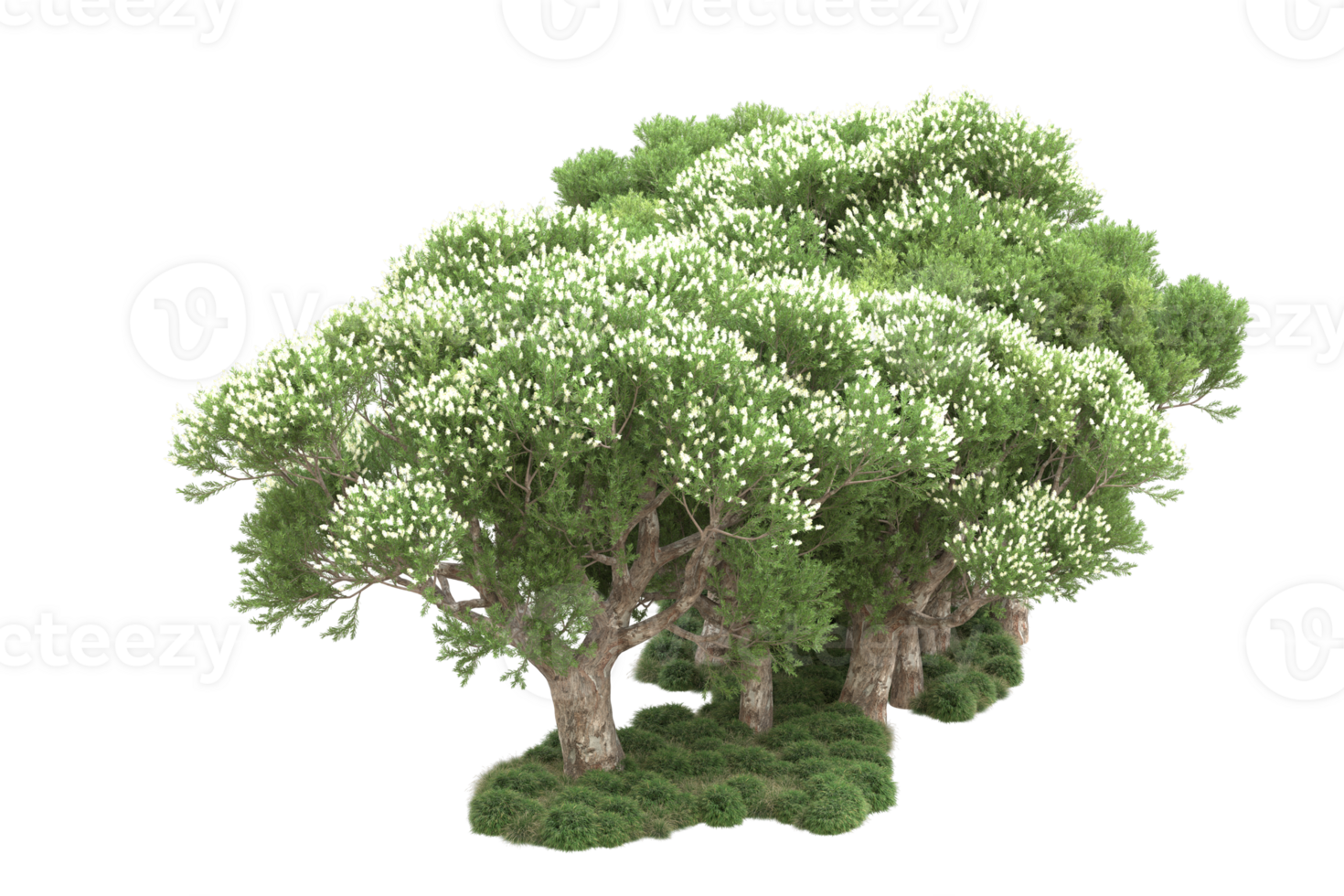 Realistic forest isolated on transparent background. 3d rendering - illustration png