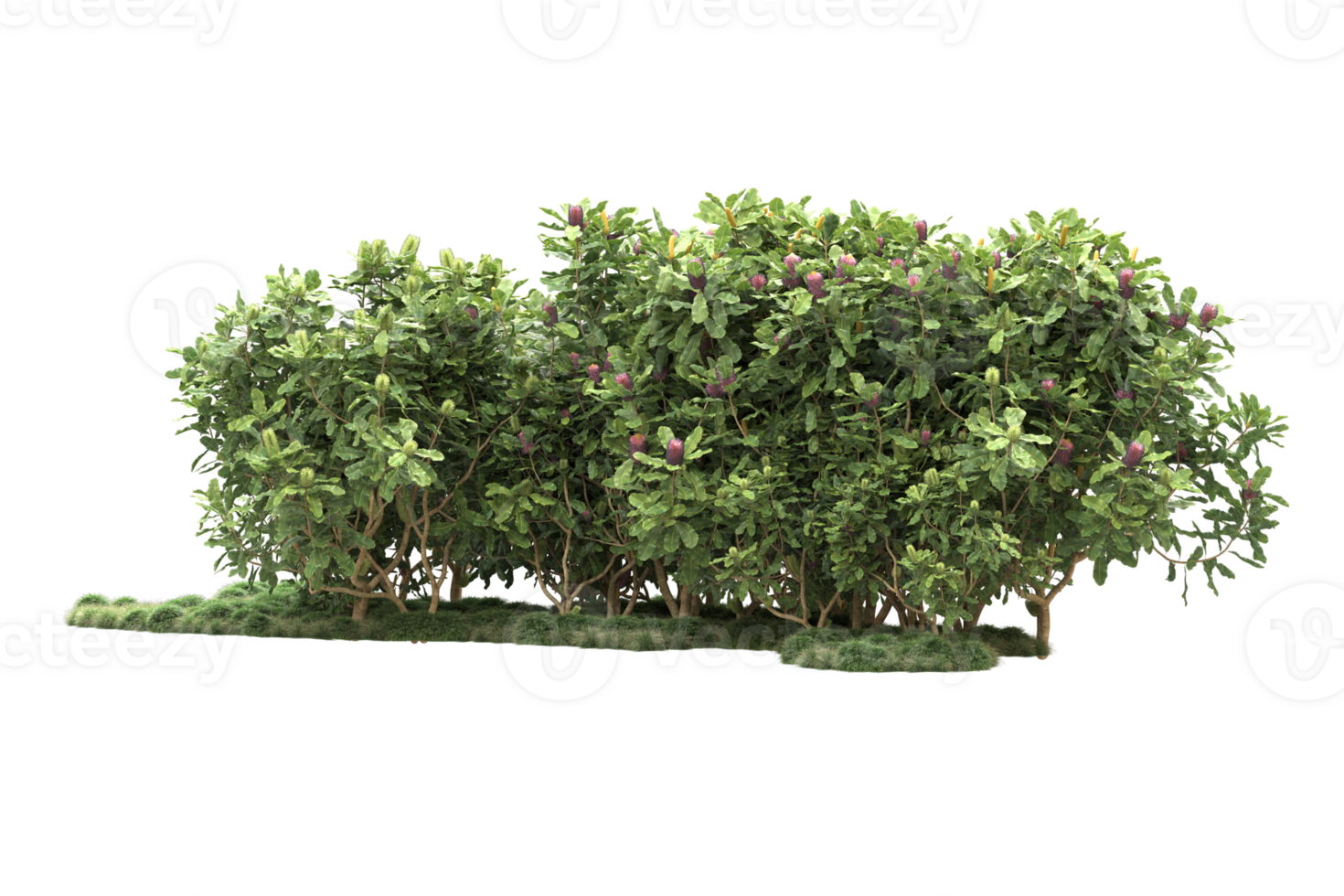 Realistic forest isolated on transparent background. 3d rendering - illustration png