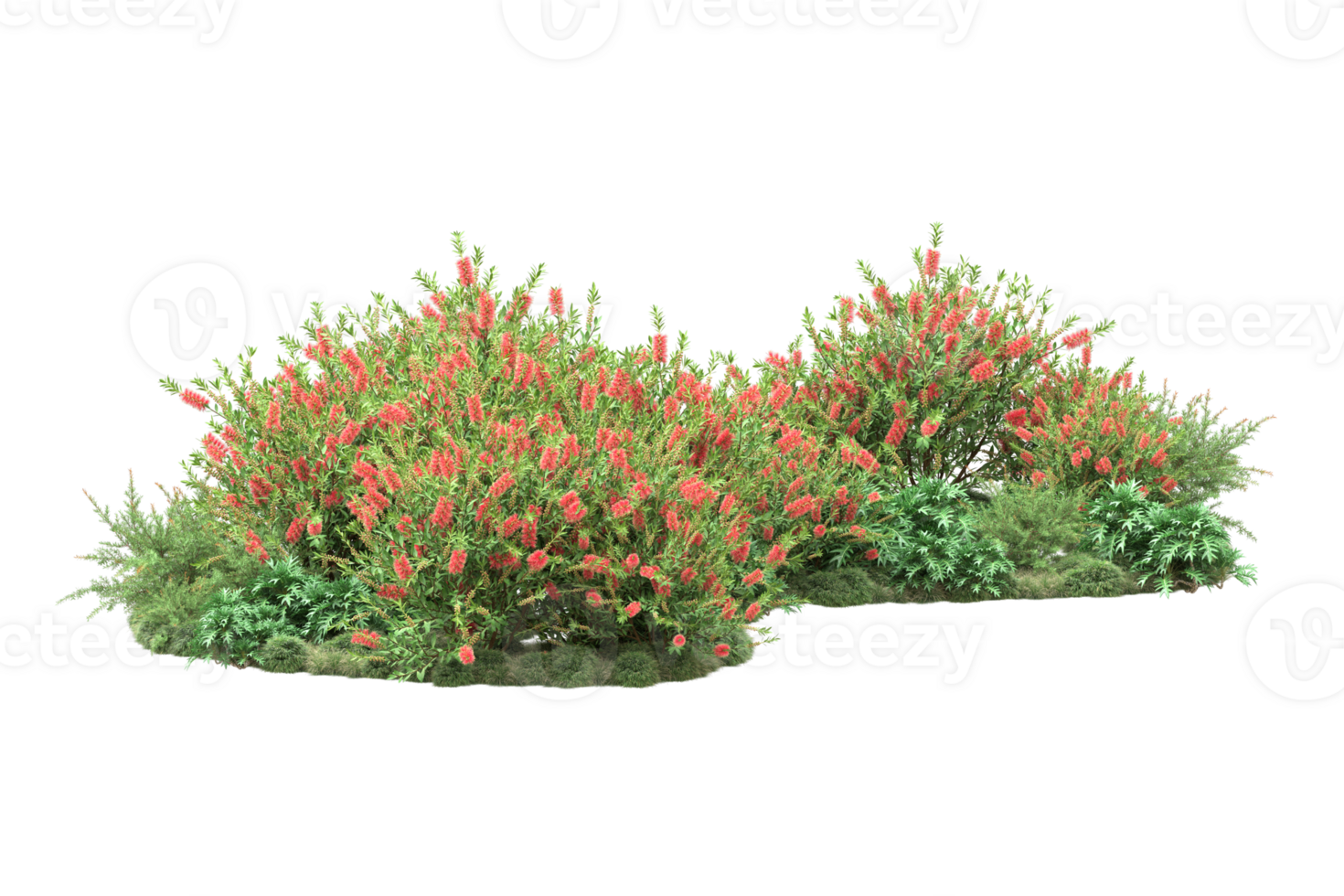 Realistic forest isolated on transparent background. 3d rendering - illustration png