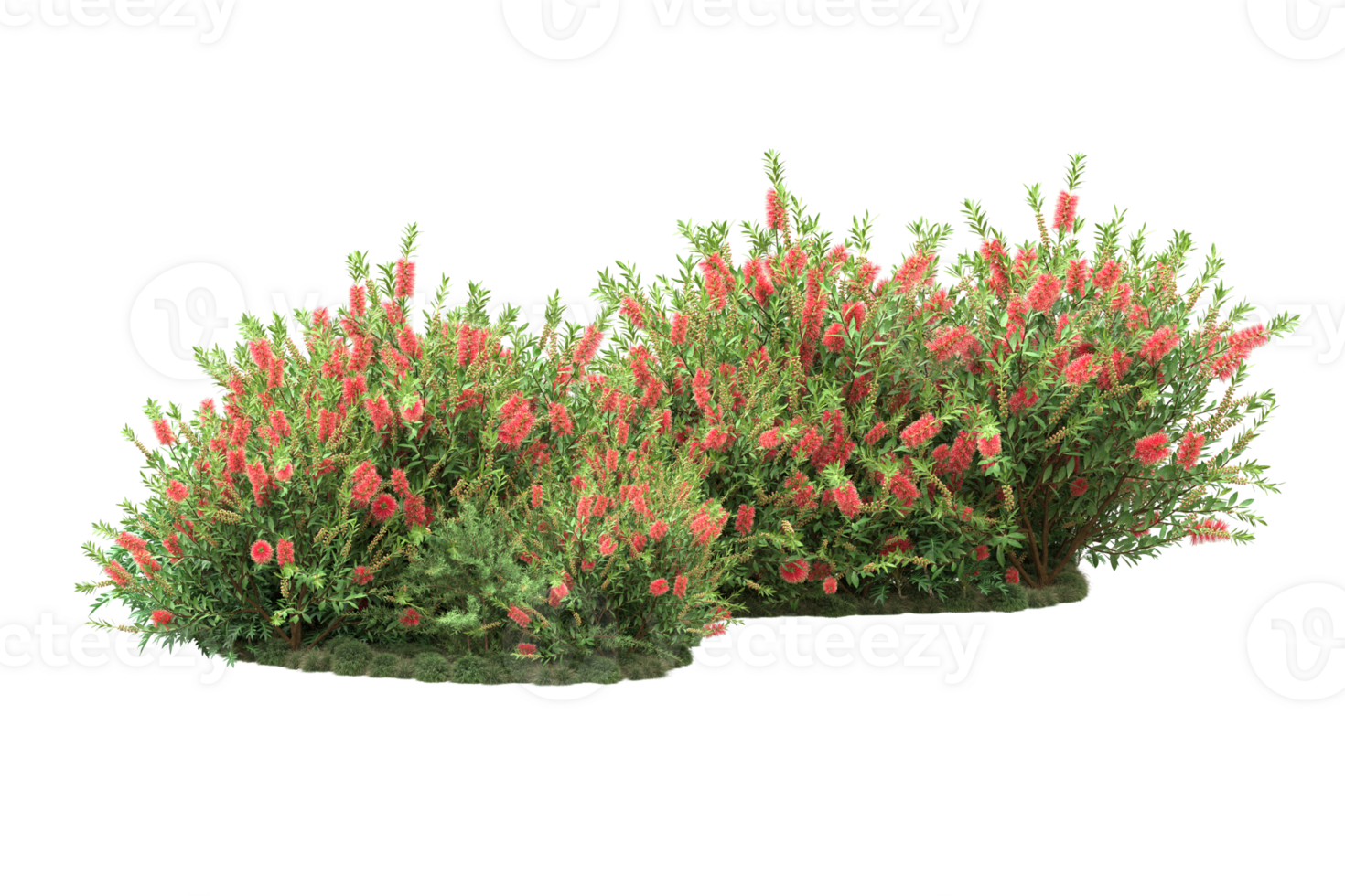 Realistic forest isolated on transparent background. 3d rendering - illustration png