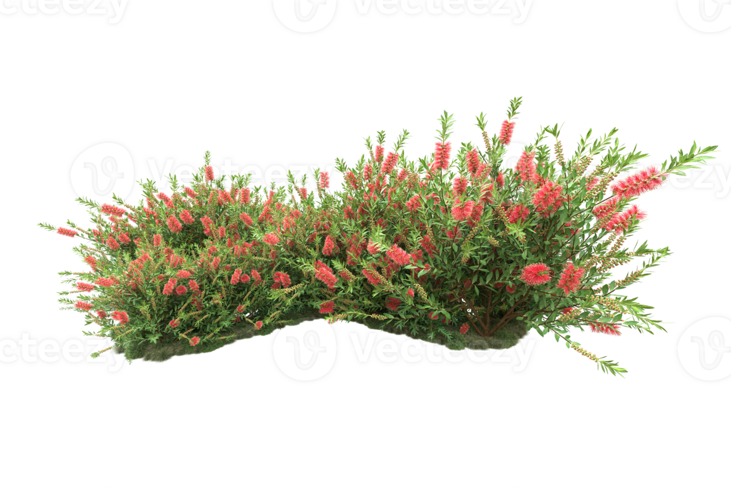 Realistic forest isolated on transparent background. 3d rendering - illustration png