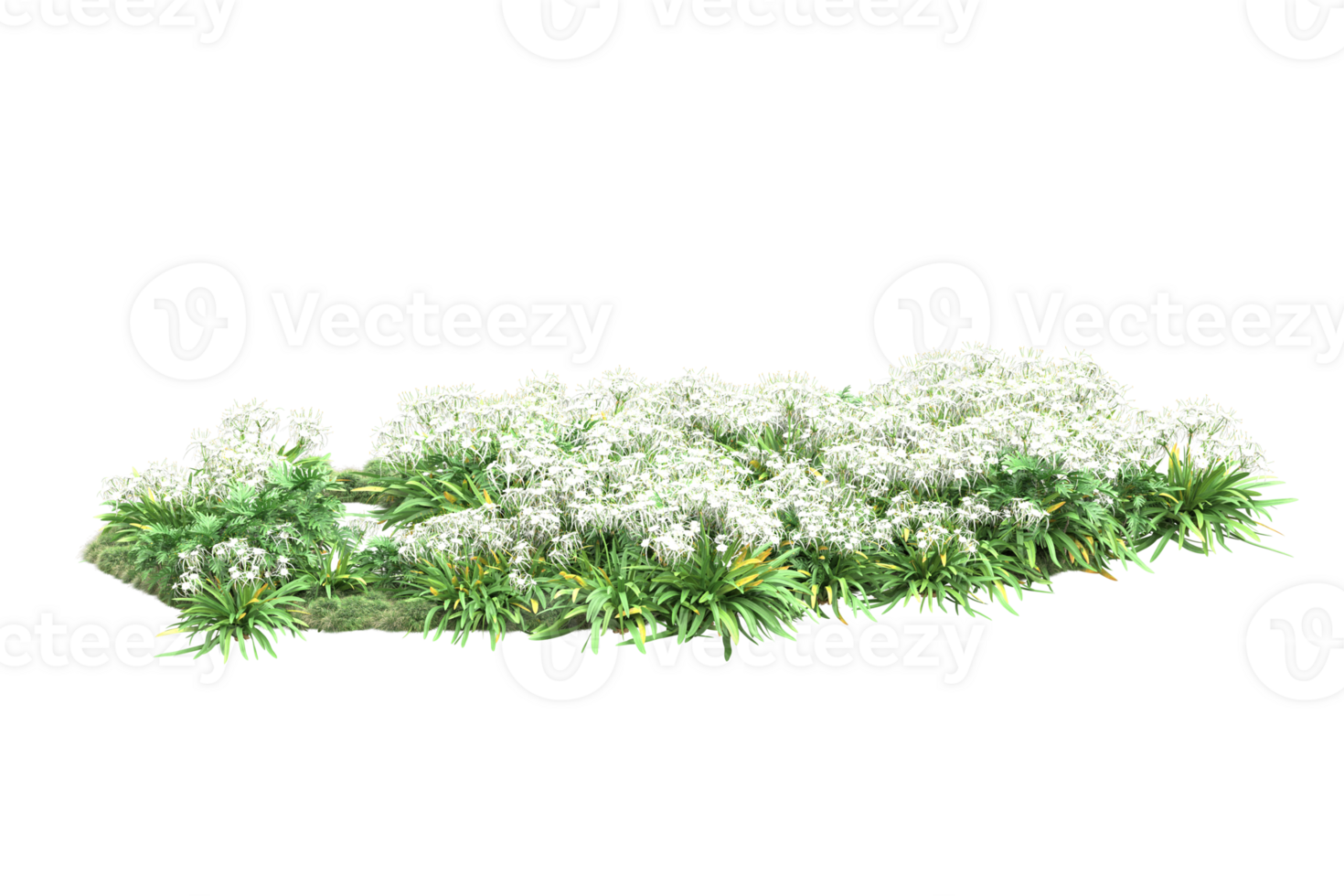 Realistic forest isolated on transparent background. 3d rendering - illustration png