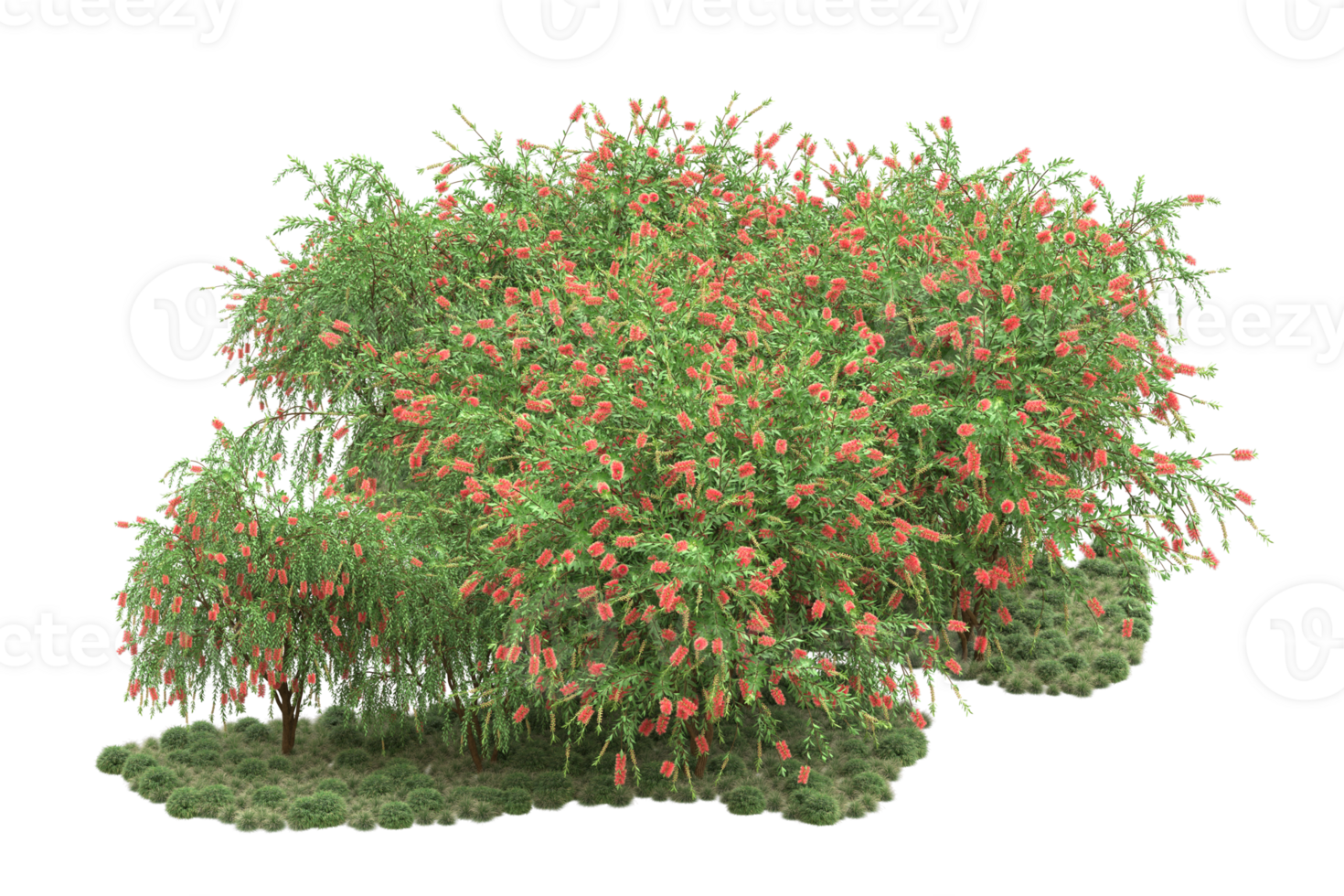 Realistic forest isolated on transparent background. 3d rendering - illustration png