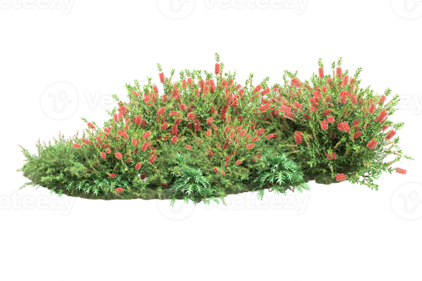 Realistic forest isolated on transparent background. 3d rendering - illustration png