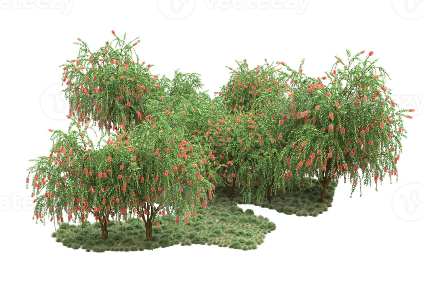 Realistic forest isolated on transparent background. 3d rendering - illustration png