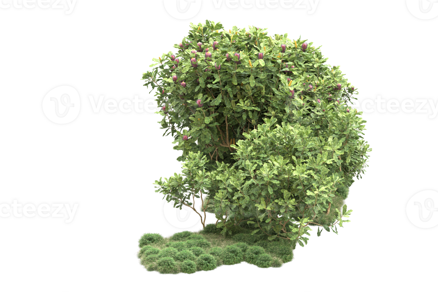 Realistic forest isolated on transparent background. 3d rendering - illustration png