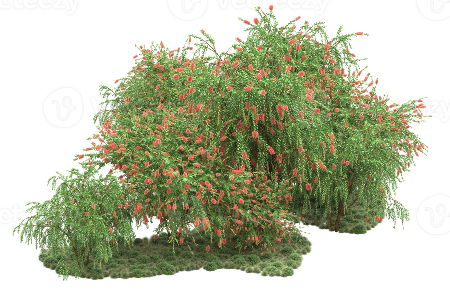 Realistic forest isolated on transparent background. 3d rendering - illustration png