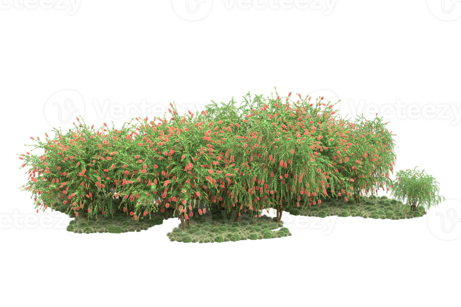 Realistic forest isolated on transparent background. 3d rendering - illustration png