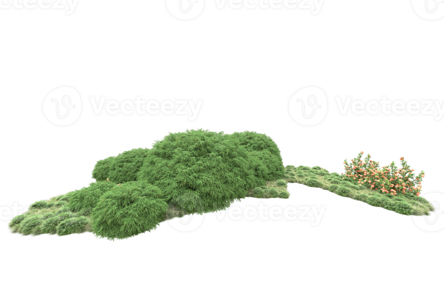 Realistic forest isolated on transparent background. 3d rendering - illustration png