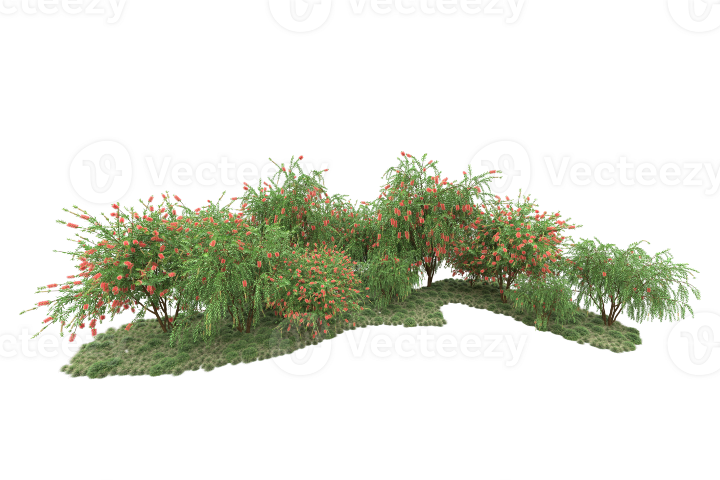 Realistic forest isolated on transparent background. 3d rendering - illustration png