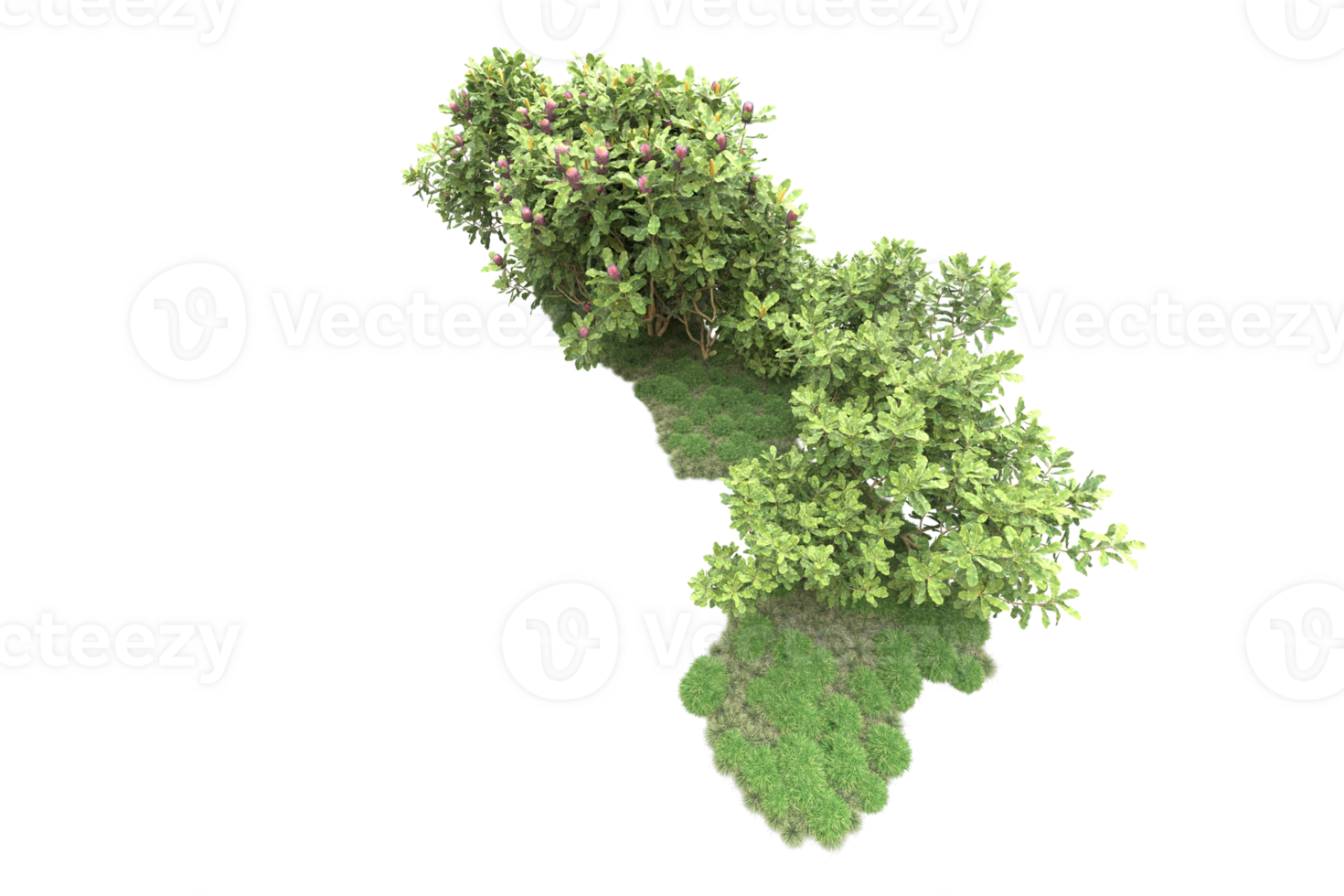 Realistic forest isolated on transparent background. 3d rendering - illustration png