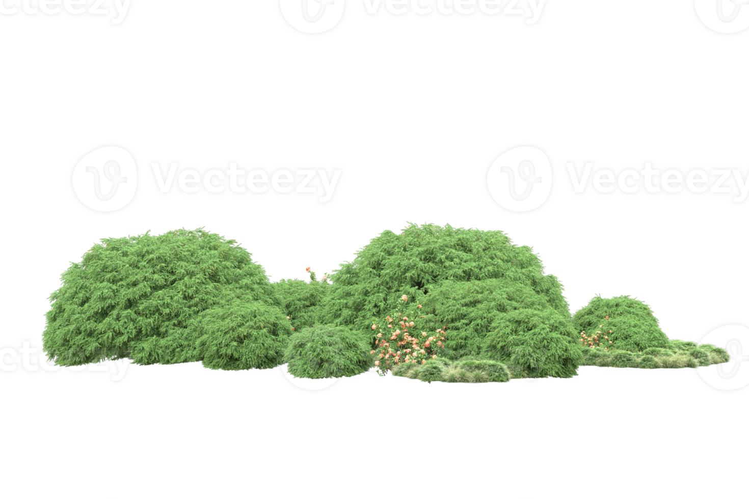 Realistic forest isolated on transparent background. 3d rendering - illustration png