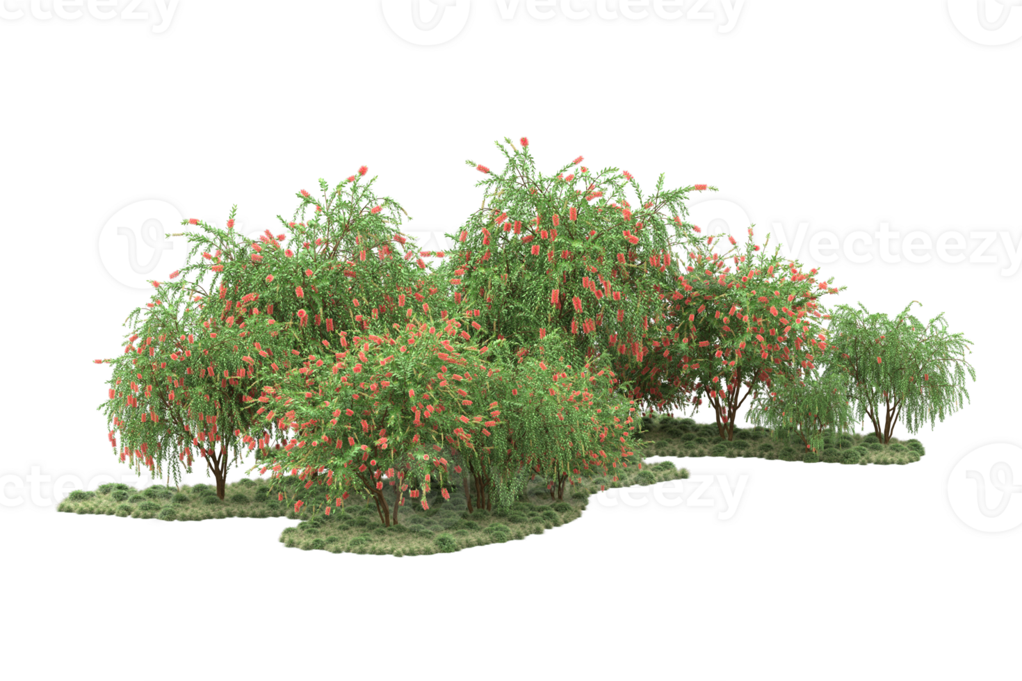 Realistic forest isolated on transparent background. 3d rendering - illustration png