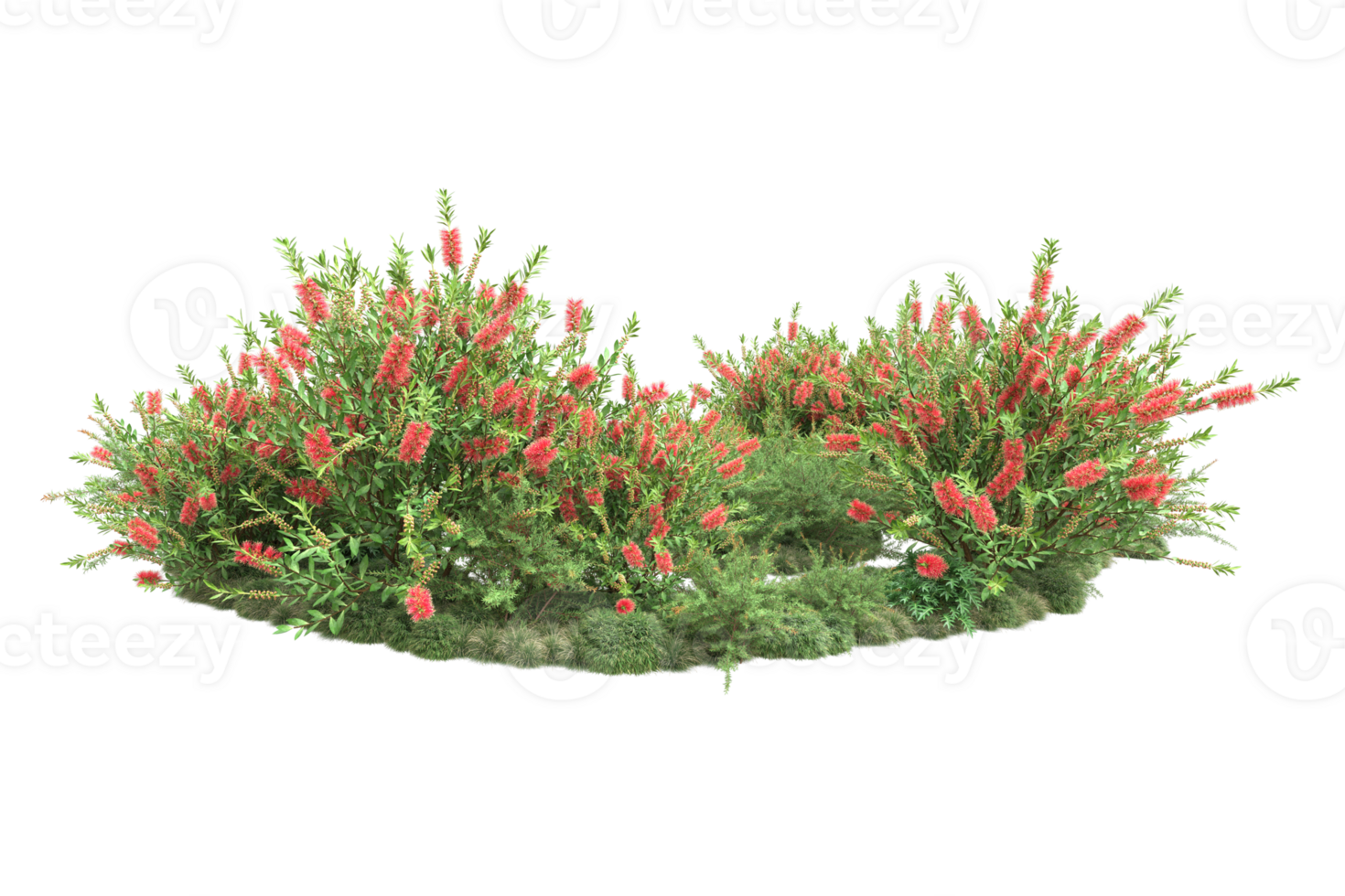 Realistic forest isolated on transparent background. 3d rendering - illustration png