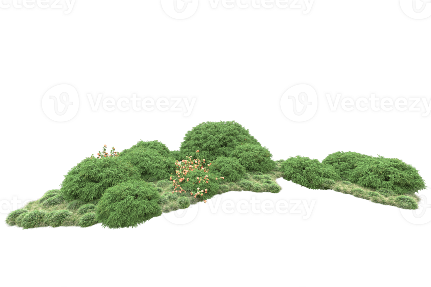 Realistic forest isolated on transparent background. 3d rendering - illustration png