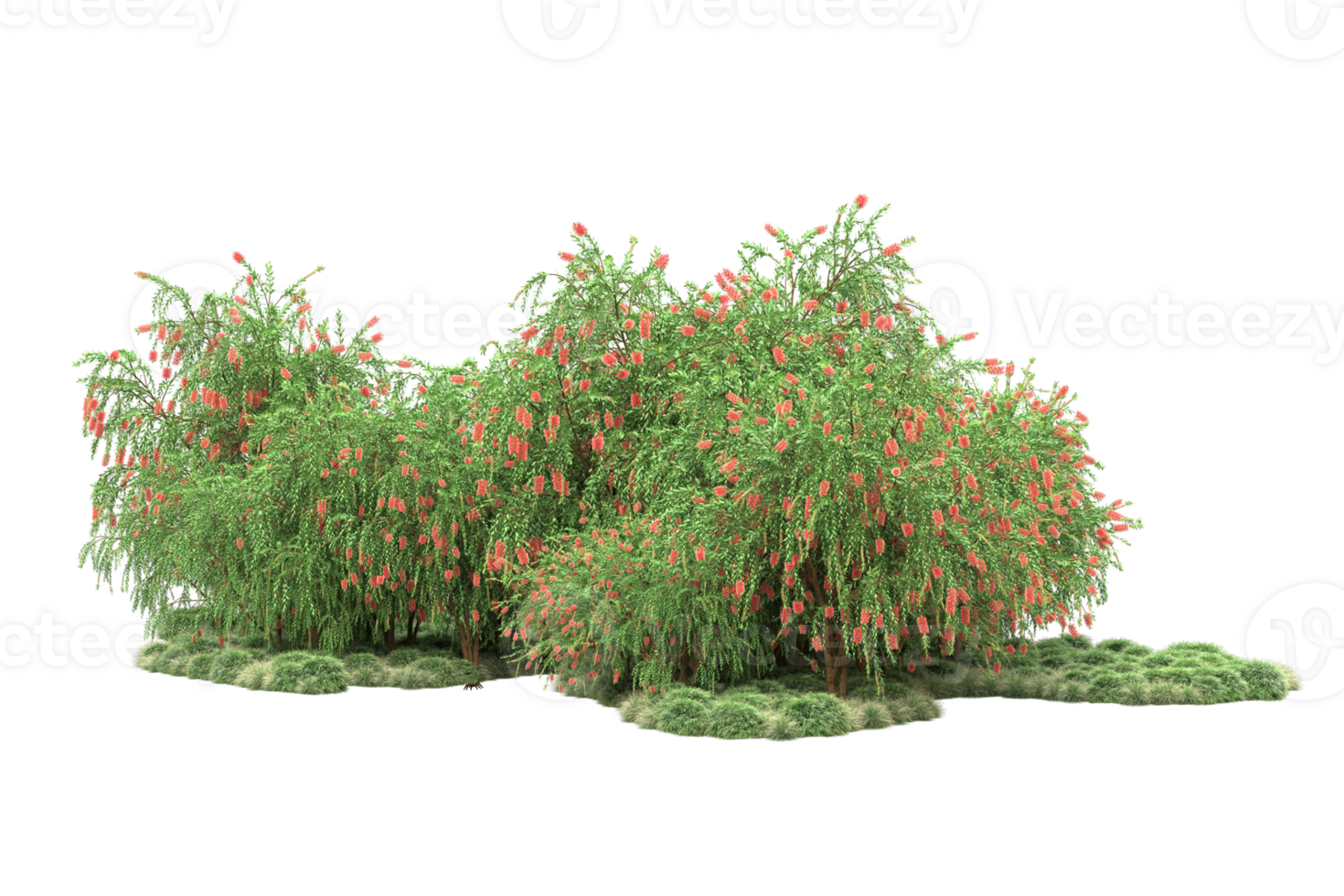 Realistic forest isolated on transparent background. 3d rendering - illustration png