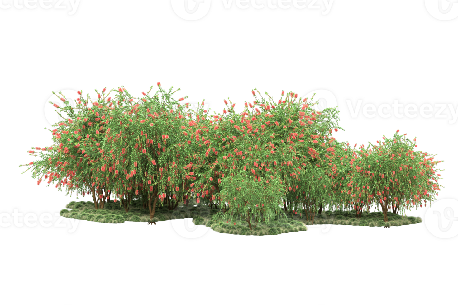 Realistic forest isolated on transparent background. 3d rendering - illustration png