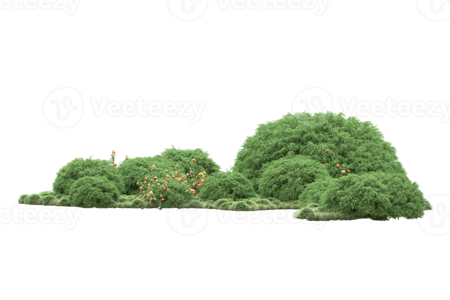 Realistic forest isolated on transparent background. 3d rendering - illustration png
