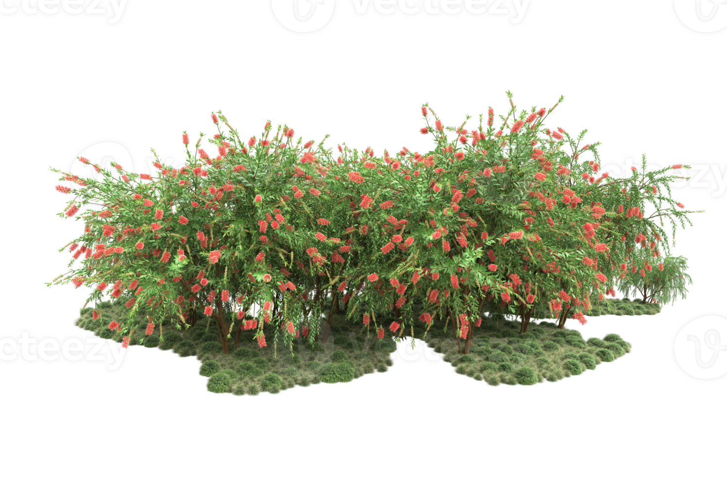 Realistic forest isolated on transparent background. 3d rendering - illustration png