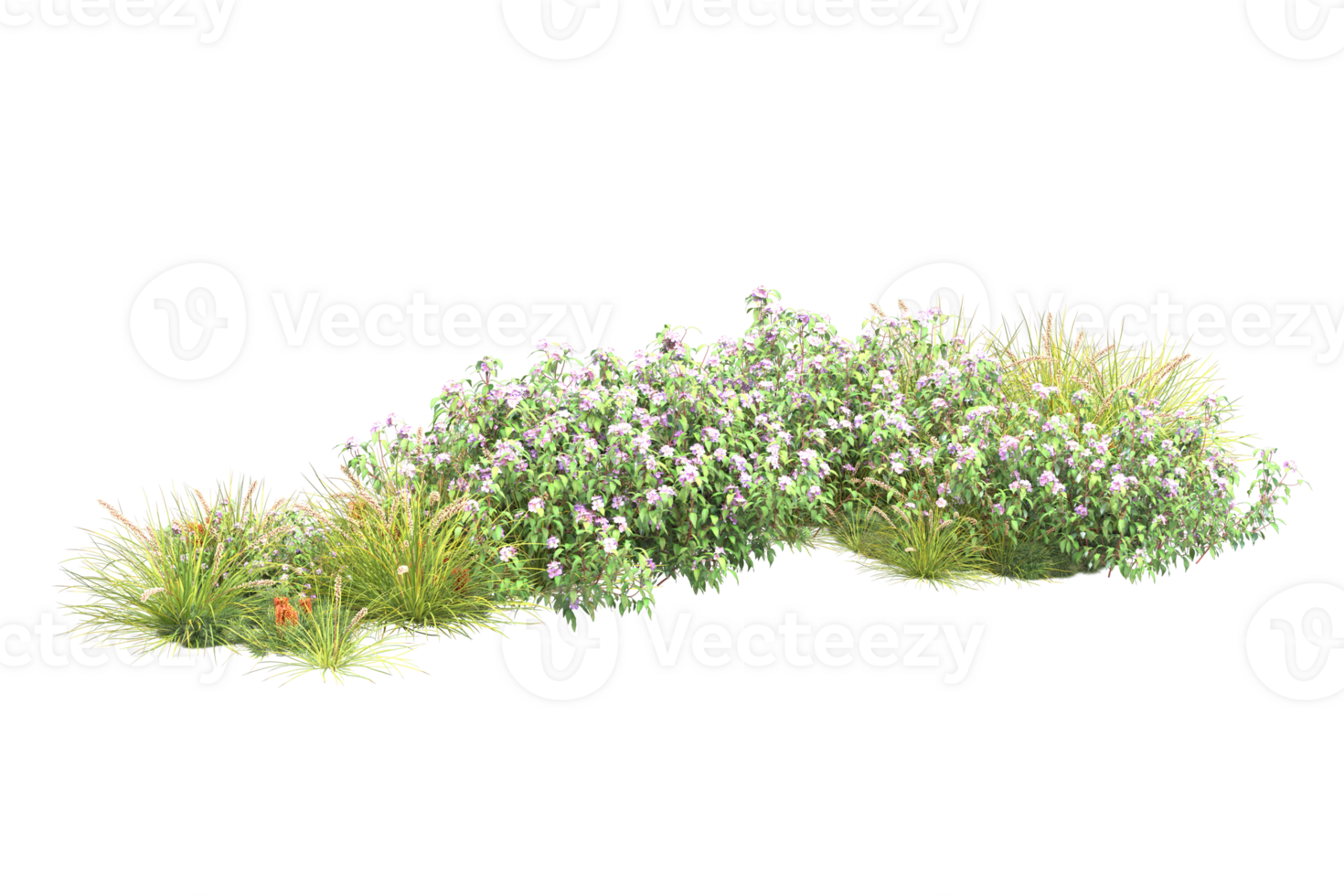 Realistic forest isolated on transparent background. 3d rendering - illustration png