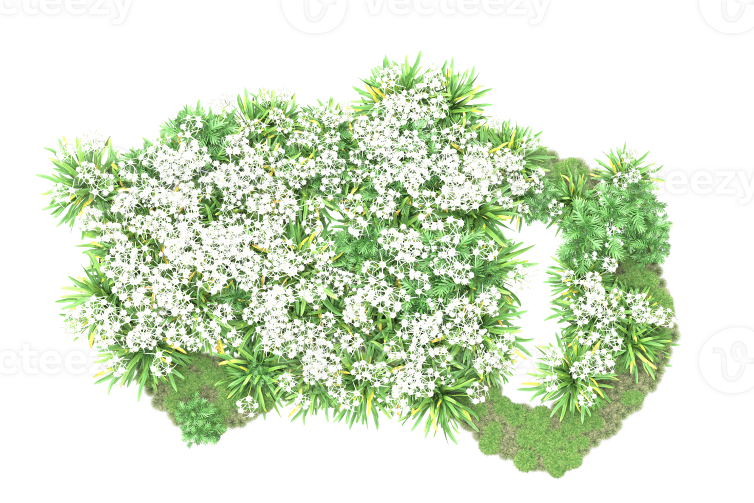 Realistic forest isolated on transparent background. 3d rendering - illustration png
